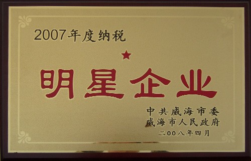 納稅明(míng)星企業2007