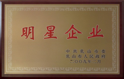 明(míng)星企業2009